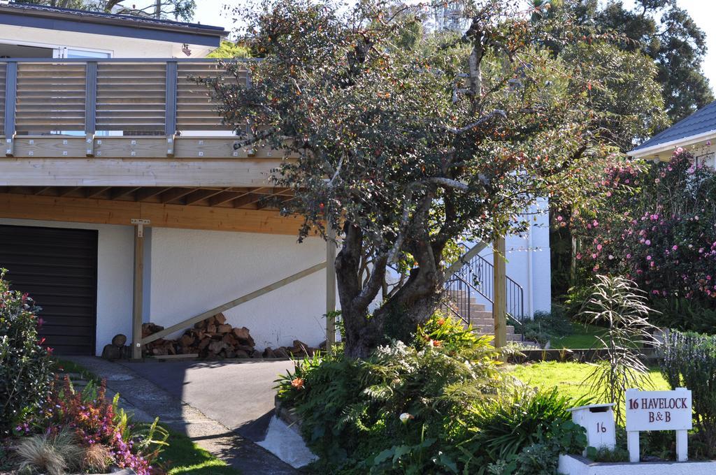 16 Havelock Bed & Breakfast New Plymouth Luaran gambar