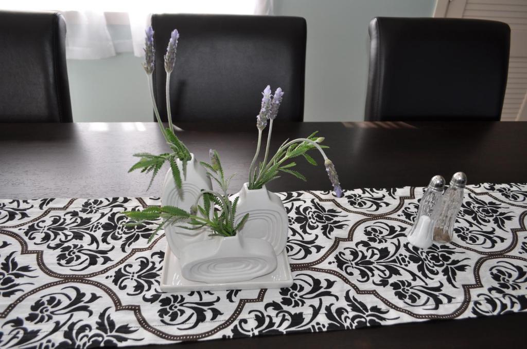 16 Havelock Bed & Breakfast New Plymouth Luaran gambar