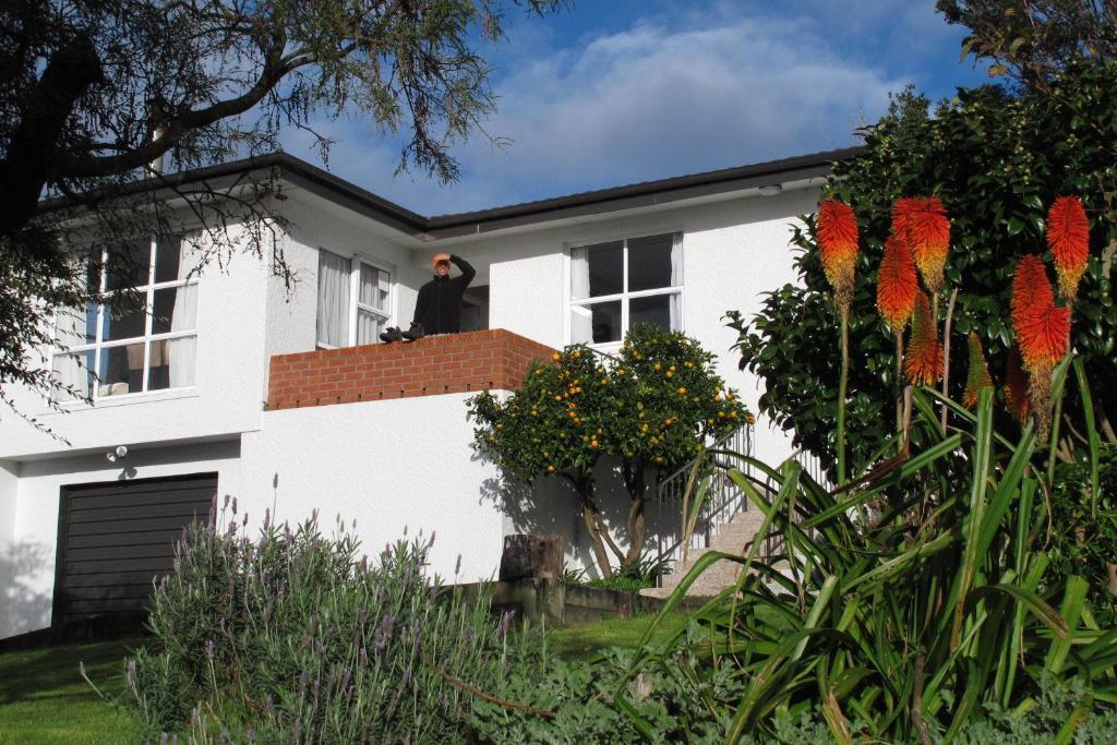 16 Havelock Bed & Breakfast New Plymouth Luaran gambar