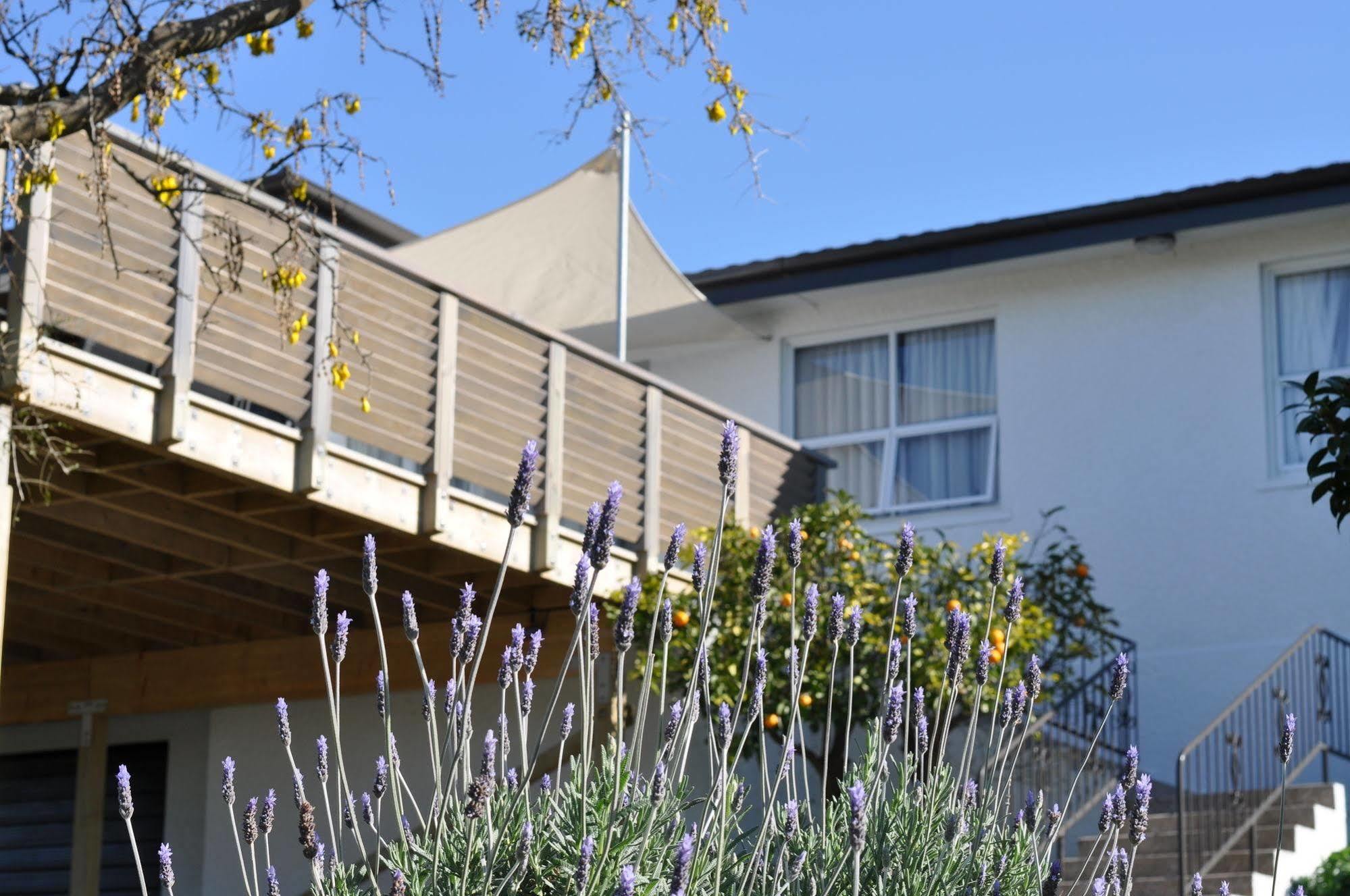 16 Havelock Bed & Breakfast New Plymouth Luaran gambar